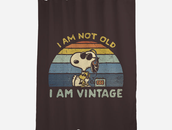 I Am Vintage