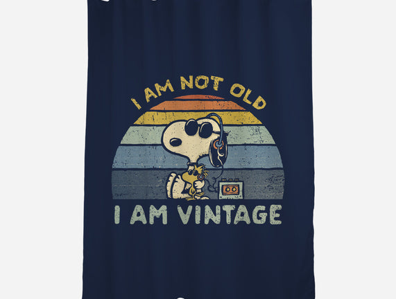 I Am Vintage