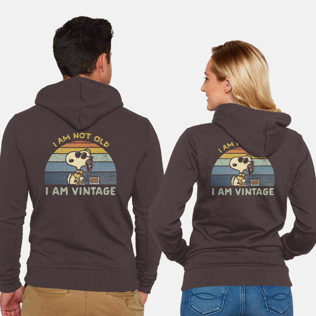 I Am Vintage-Unisex-Zip-Up-Sweatshirt-kg07