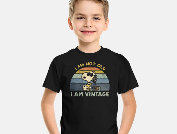 I Am Vintage