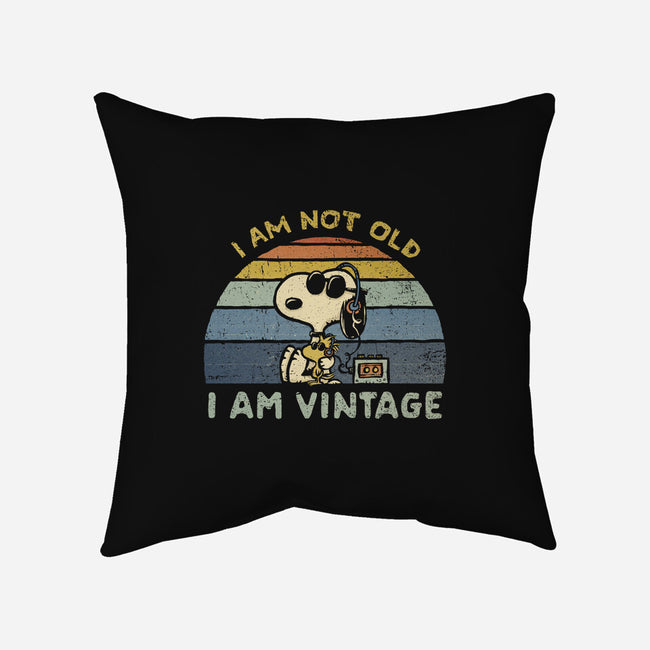 I Am Vintage-None-Removable Cover w Insert-Throw Pillow-kg07