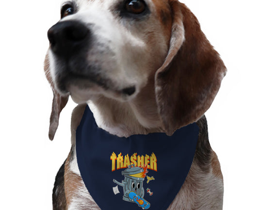 Trasher Skater