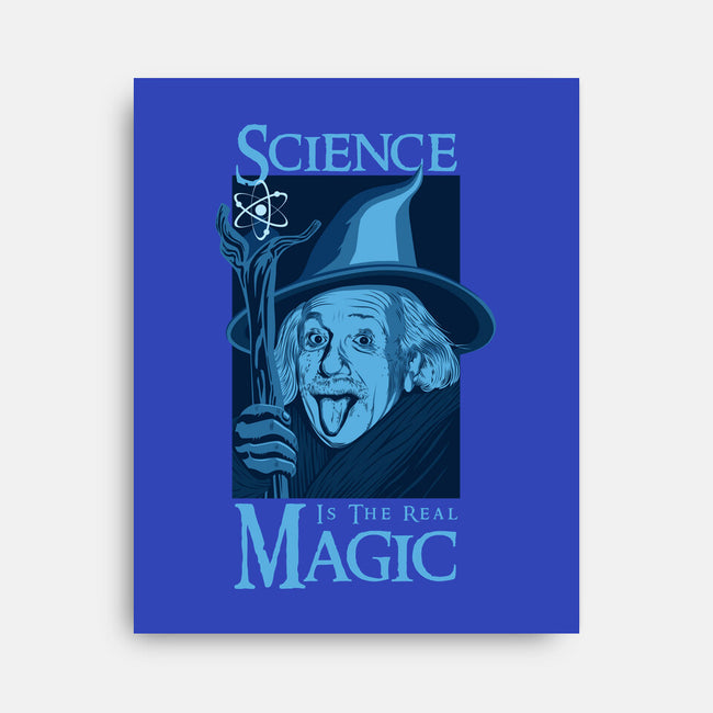 Science Is The Real Magic-None-Stretched-Canvas-sachpica