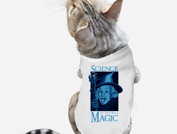 Science Is The Real Magic