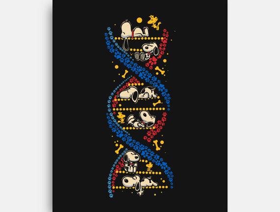 Beagles DNA