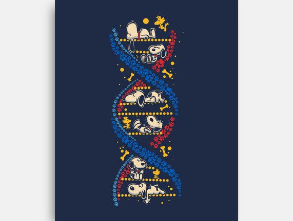 Beagles DNA