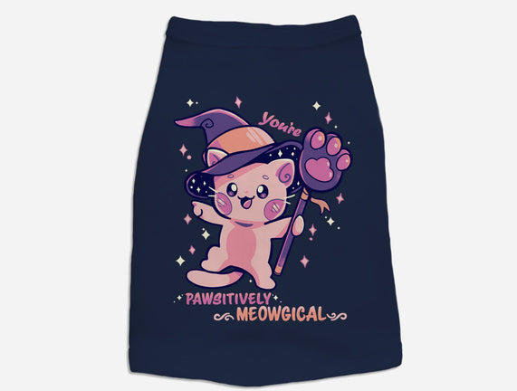 PAWsitively MEOWgical