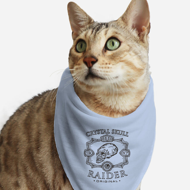 Crystal Skull Raider-Cat-Bandana-Pet Collar-Olipop