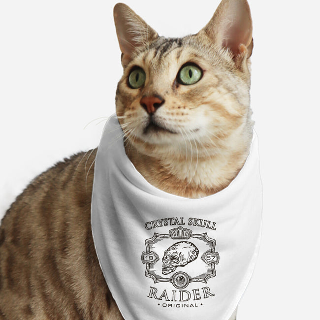 Crystal Skull Raider-Cat-Bandana-Pet Collar-Olipop