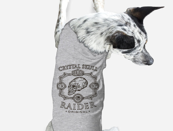 Crystal Skull Raider