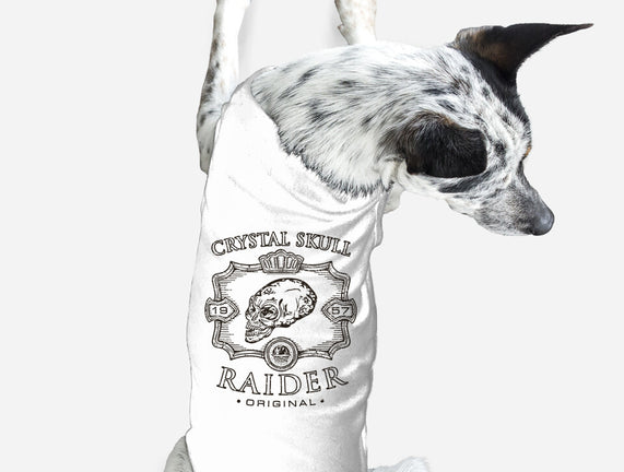 Crystal Skull Raider