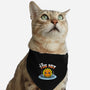 I'm Too Hot-Cat-Adjustable-Pet Collar-Boggs Nicolas