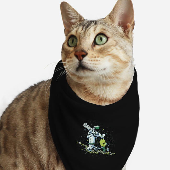 Chasing Stars-Cat-Bandana-Pet Collar-tobefonseca