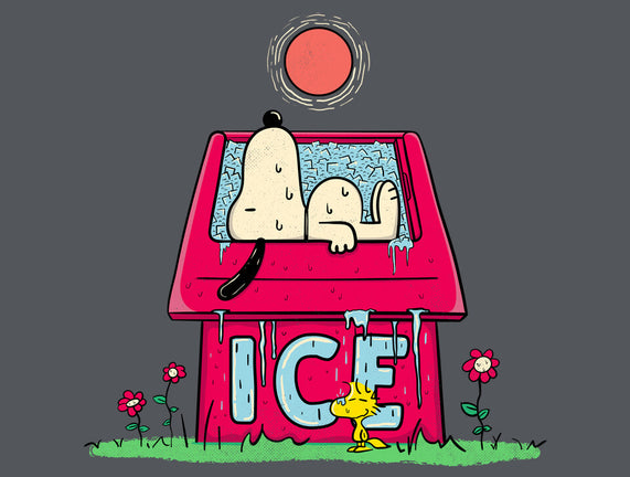 Icehouse