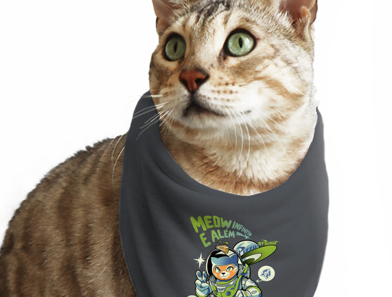 Cat Lightyear