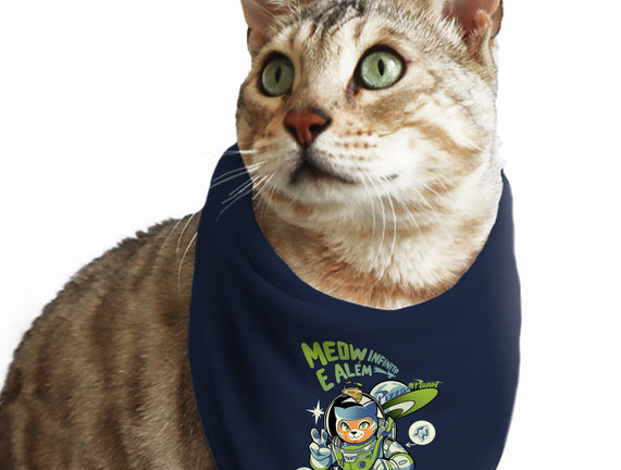 Cat Lightyear