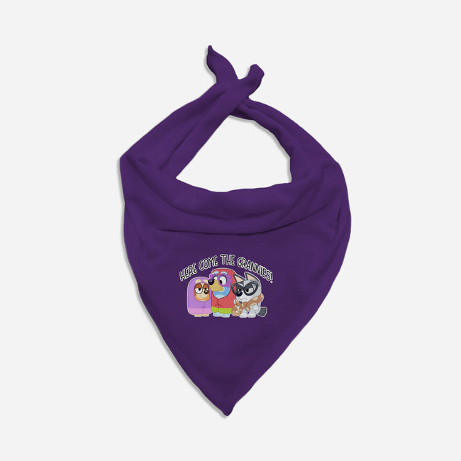 Here Come The Grannies-Cat-Bandana-Pet Collar-Alexhefe