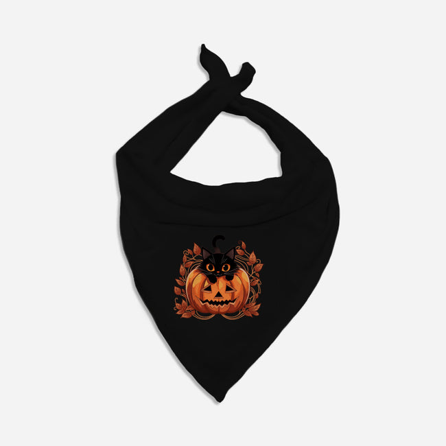 Pumpkin Paws-Dog-Bandana-Pet Collar-fanfreak1