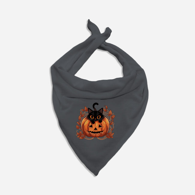 Pumpkin Paws-Dog-Bandana-Pet Collar-fanfreak1