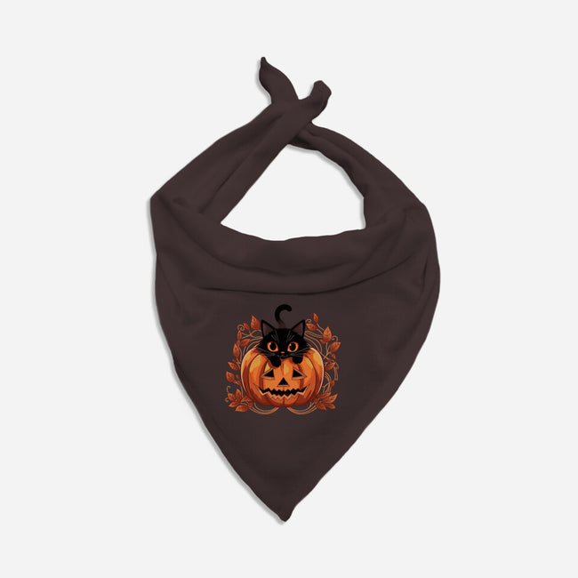 Pumpkin Paws-Dog-Bandana-Pet Collar-fanfreak1