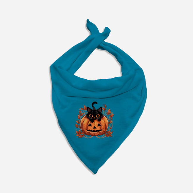 Pumpkin Paws-Dog-Bandana-Pet Collar-fanfreak1