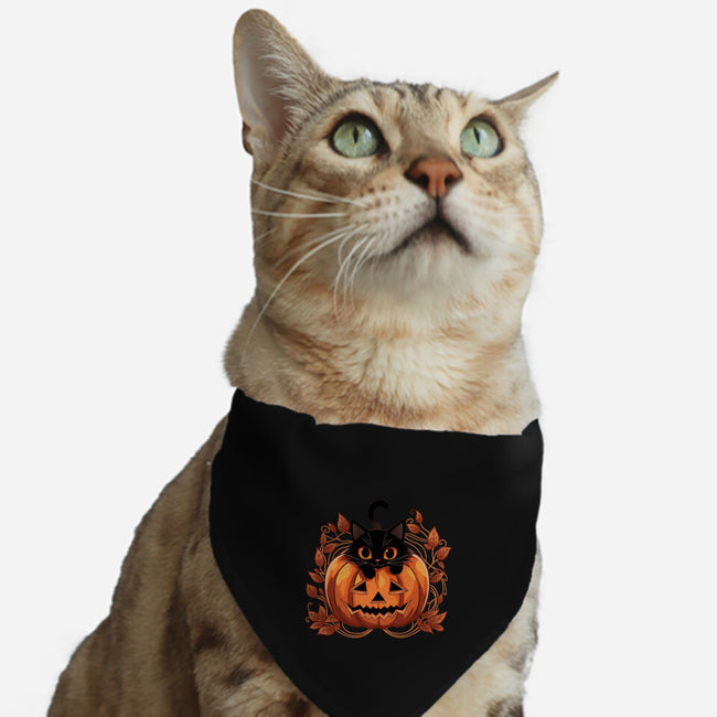 Pumpkin Paws-Cat-Adjustable-Pet Collar-fanfreak1