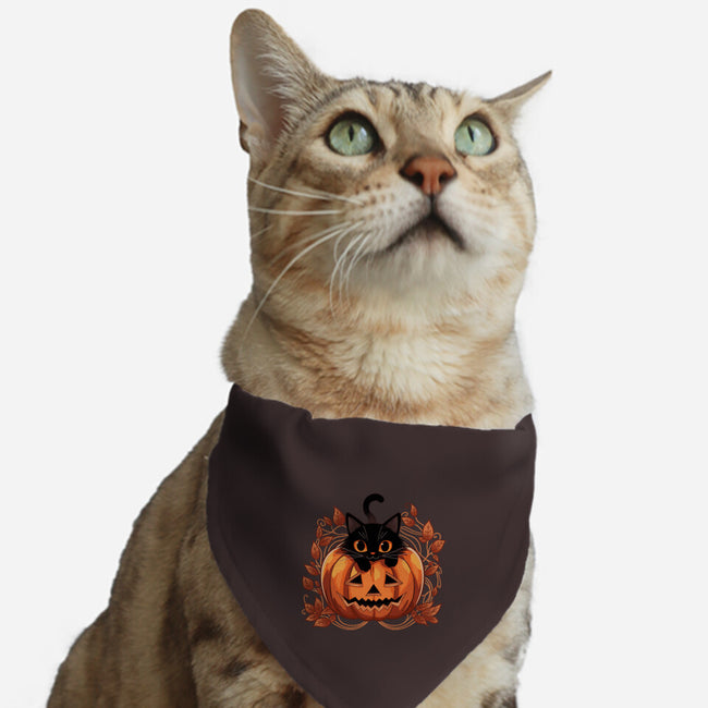 Pumpkin Paws-Cat-Adjustable-Pet Collar-fanfreak1