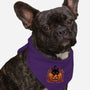 Pumpkin Paws-Dog-Bandana-Pet Collar-fanfreak1