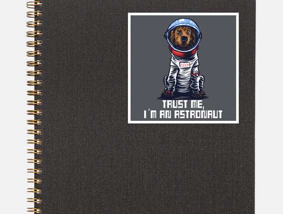 I Am An Astronaut