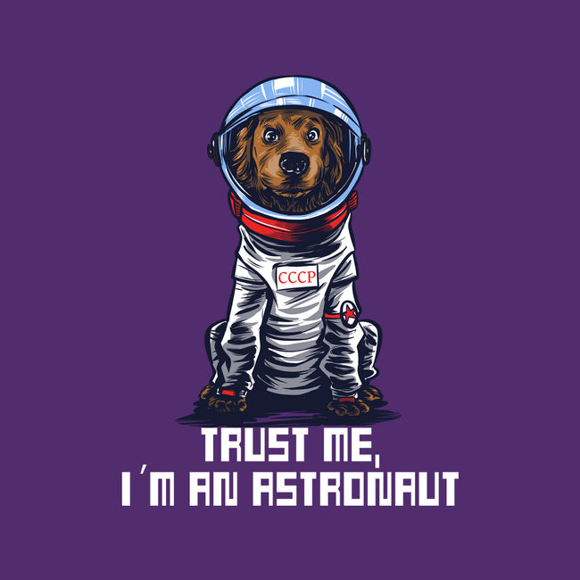 I Am An Astronaut-None-Stretched-Canvas-zascanauta