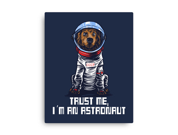 I Am An Astronaut