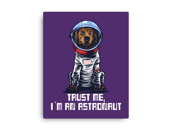 I Am An Astronaut