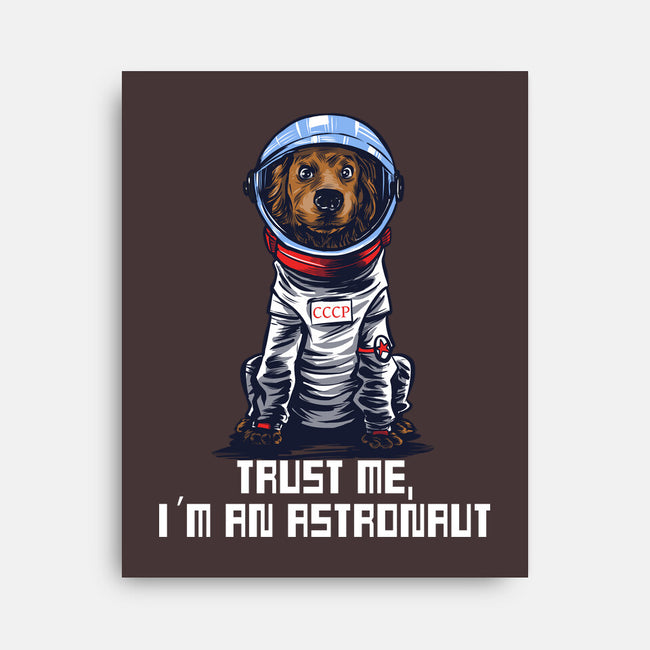 I Am An Astronaut-None-Stretched-Canvas-zascanauta