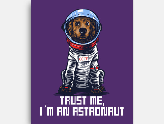 I Am An Astronaut