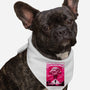 Barbenheimer Explosion-Dog-Bandana-Pet Collar-Benizdani