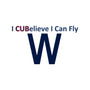 I CUBelieve I Can Fly-None-Removable Cover w Insert-Throw Pillow-Mills