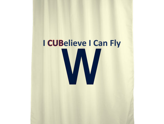 I CUBelieve I Can Fly