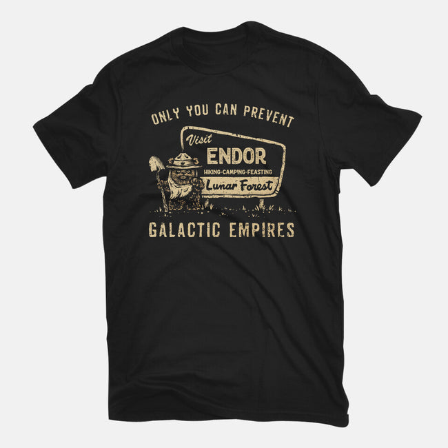 Prevent Galactic Empires-Mens-Heavyweight-Tee-kg07