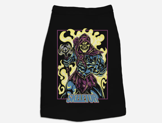 Skeletor Master