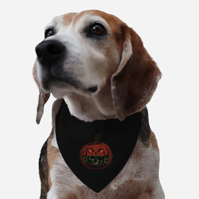 Pumpkin Surprise-Dog-Adjustable-Pet Collar-fanfreak1