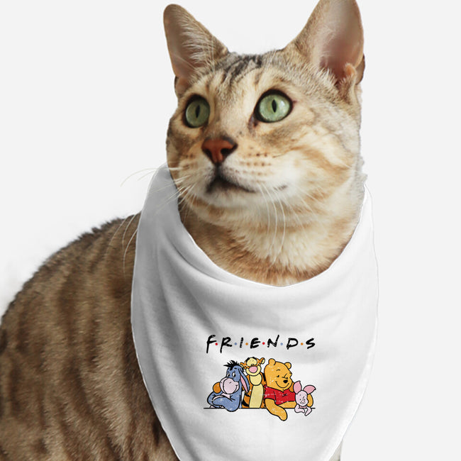 Animal Friends-Cat-Bandana-Pet Collar-turborat14