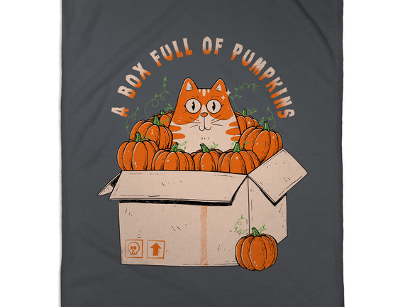 A Box Full Of Pumpkins