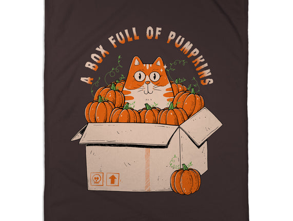 A Box Full Of Pumpkins