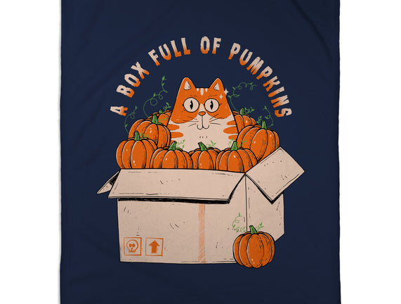 A Box Full Of Pumpkins