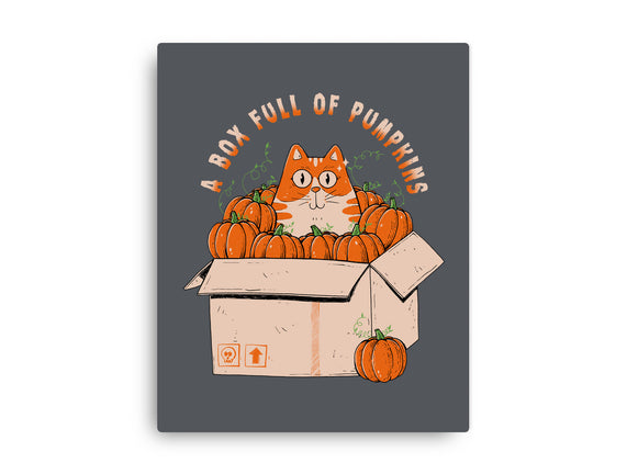 A Box Full Of Pumpkins