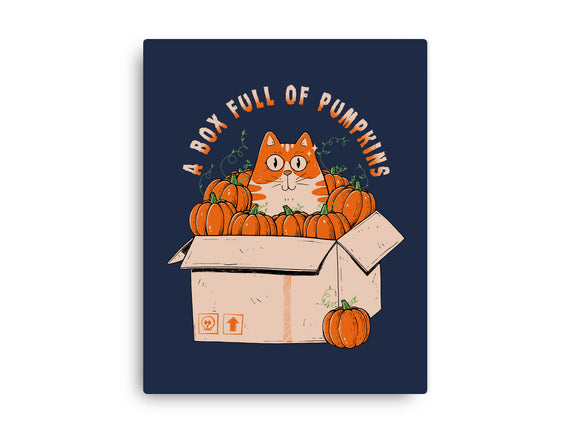 A Box Full Of Pumpkins