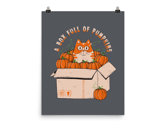 A Box Full Of Pumpkins