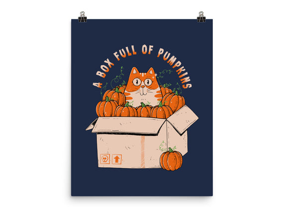 A Box Full Of Pumpkins