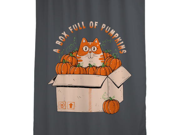 A Box Full Of Pumpkins