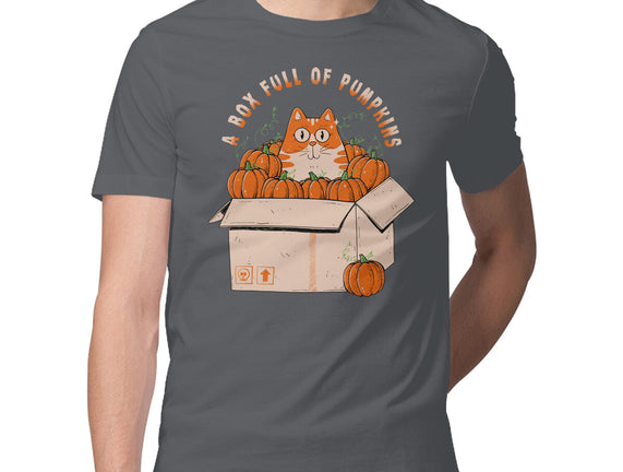 A Box Full Of Pumpkins